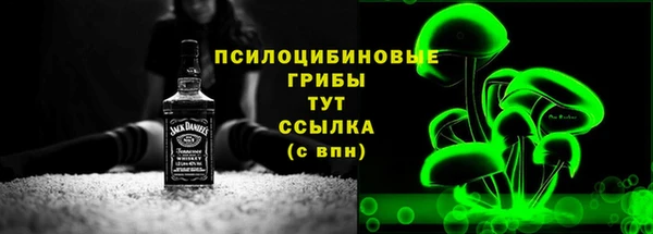 PSILOCYBIN Елабуга