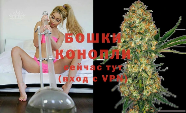 дурь Новозыбков