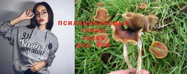 a pvp Новокубанск
