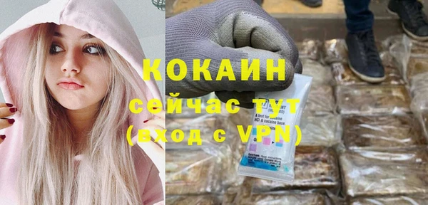 СК Ельня