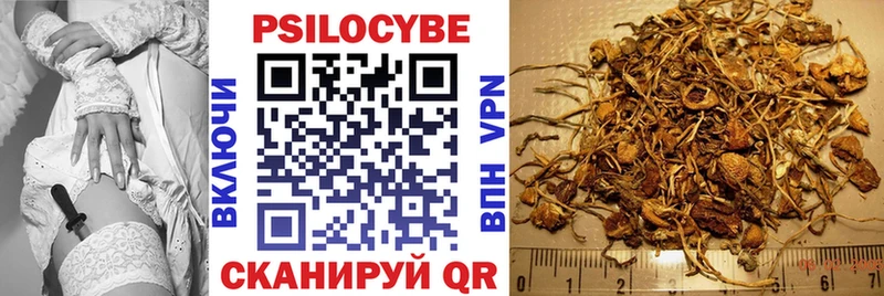 Галлюциногенные грибы MAGIC MUSHROOMS  Светогорск 